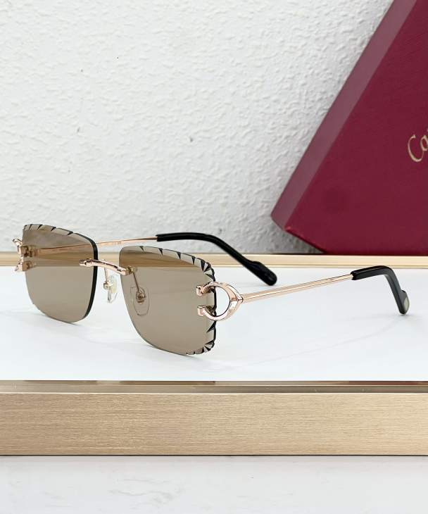 Picture of Cartier Sunglasses _SKUfw80274878fw